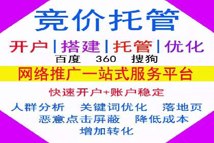 行业翘楚的sem代运营机构：成功案例解析